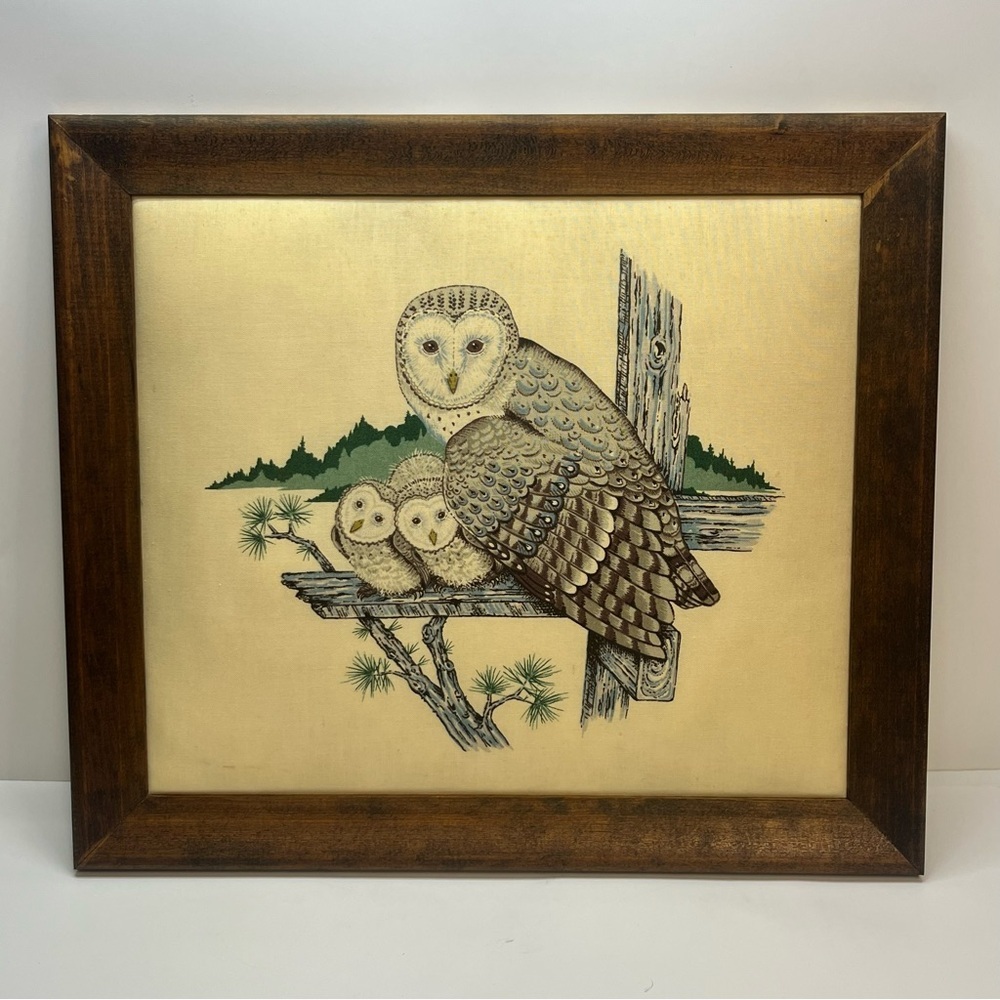 Art vintage‎ framed barn owl and babies fabric puffed pillowed boho gallery wall